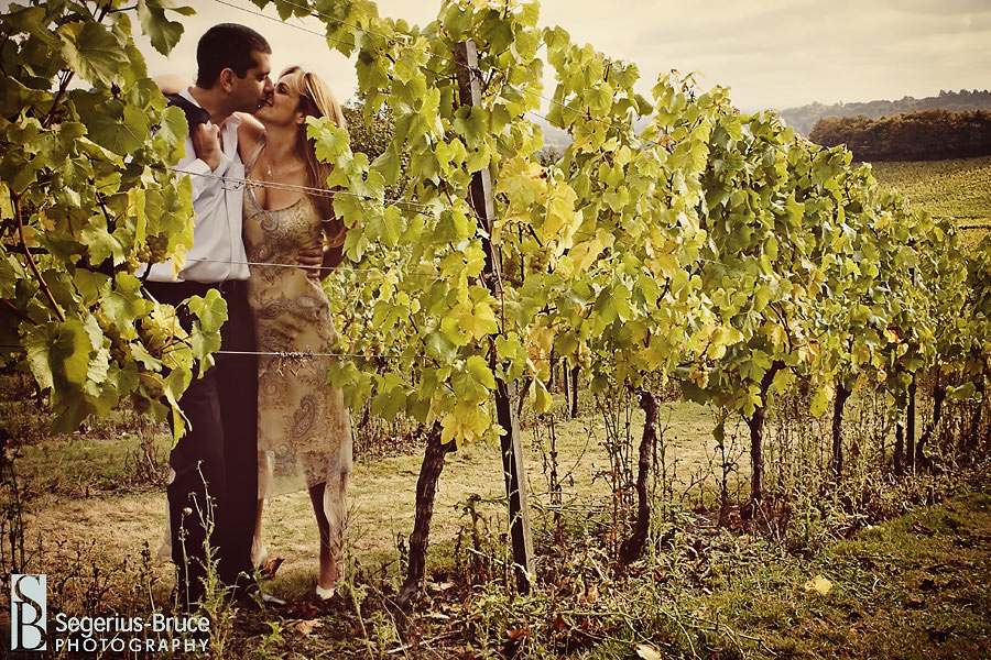 Denbies Vineyard in Dorking, Wedding Venue