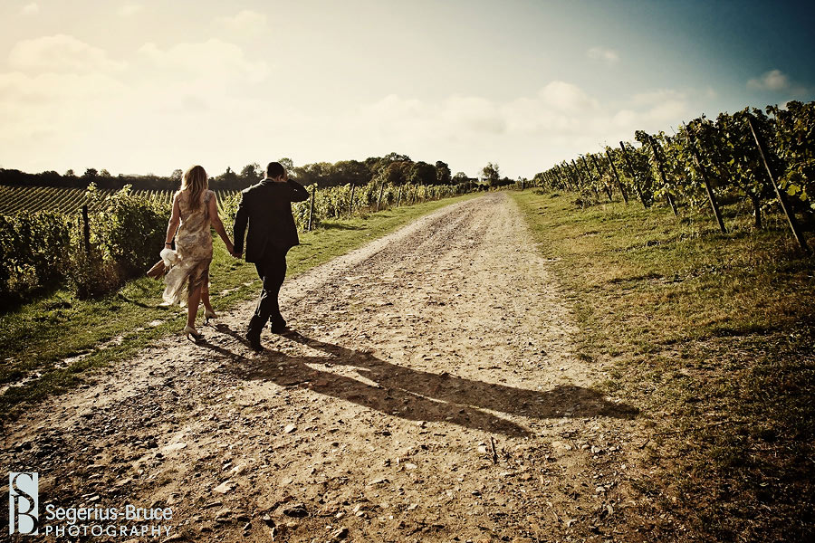 Wedding venue in Dorking, Surrey - Denbies Vineyard