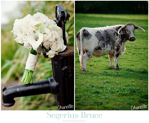 Details at Gatestreet Barn Wedding in Surrey