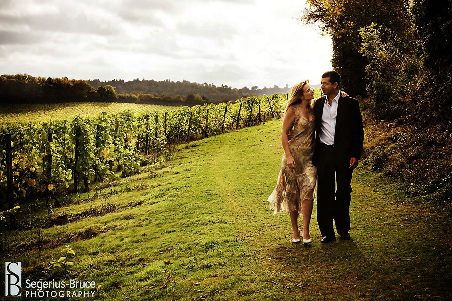 Denbies Vineyard wedding venue in Surrey