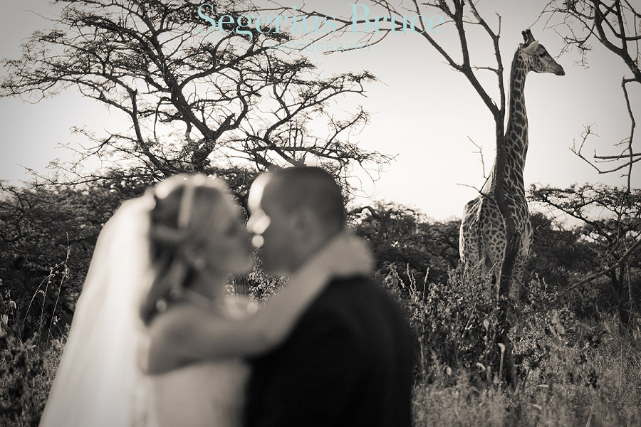 Tala Game Reserve Wedding Photography