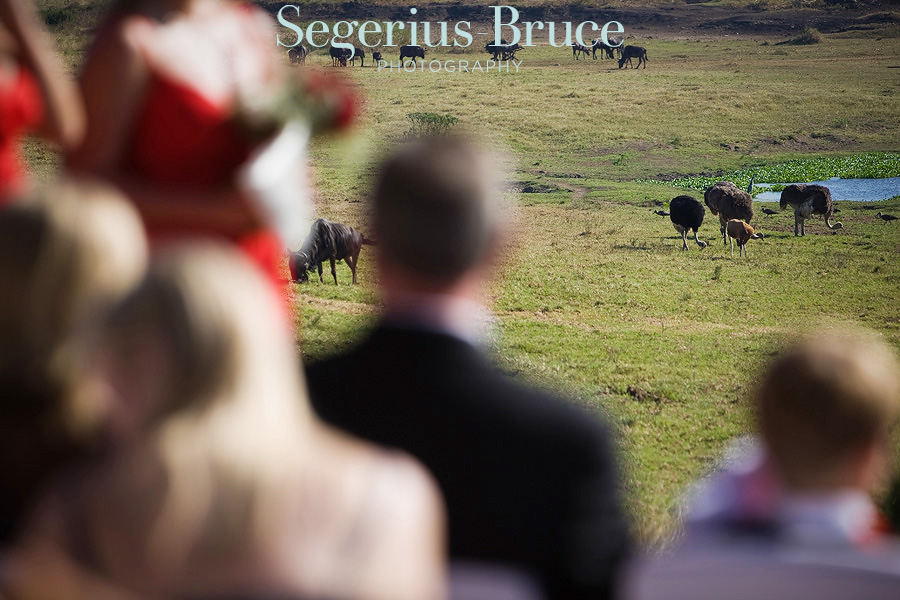 Tala Game Reserve Wedding