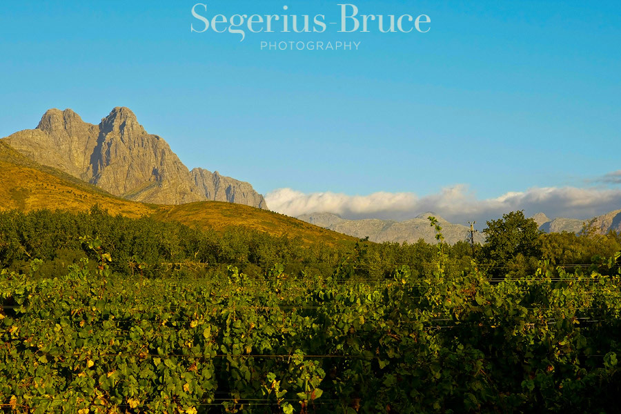 Lanzerac Estate, Cape Town, South Africa