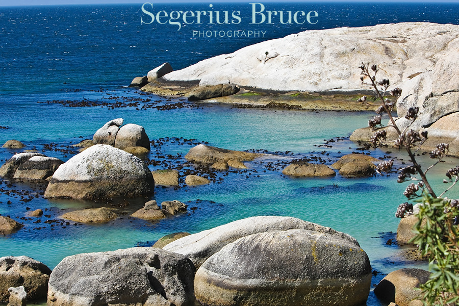 boulders bay, Cape Town, South Africa