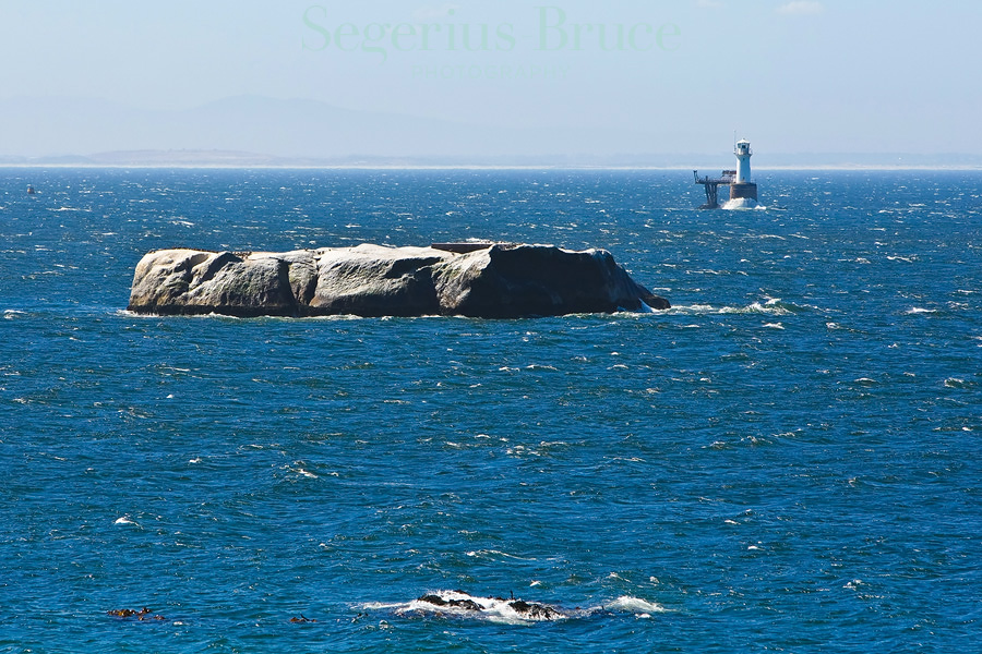 Boulders Bay, Cape Town, South Africa