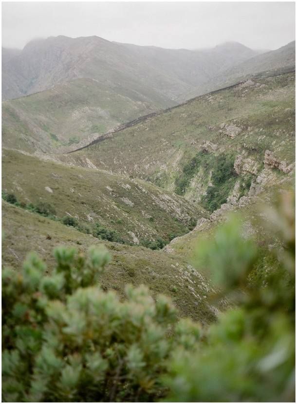 Contax 645 Fuji 400H Cape Town Photographer  (19)