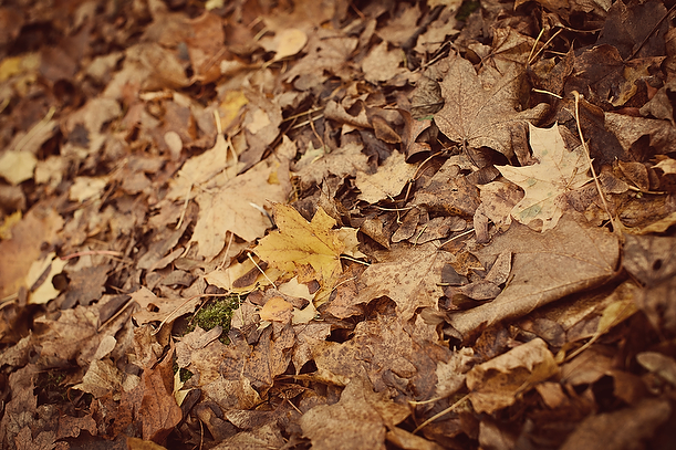 Vintage Autumn Pre-Wedding Engagement Session Surrey Vintage Autumn Pre-Wedding Engagement Session Surrey