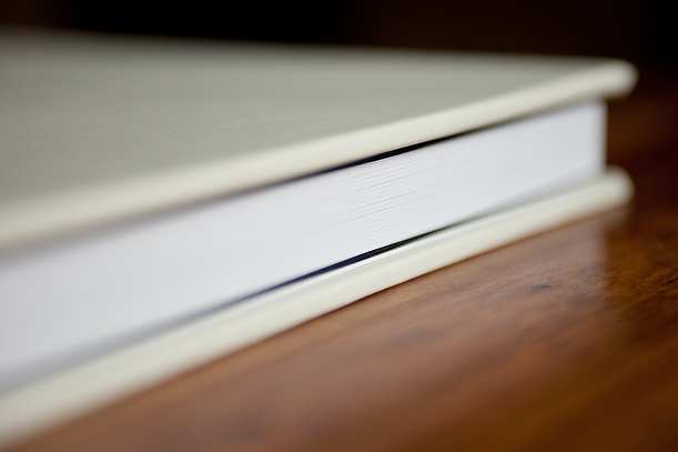 Wedding Albums by Segerius Bruce Photography Wedding Albums by Segerius Bruce Photography