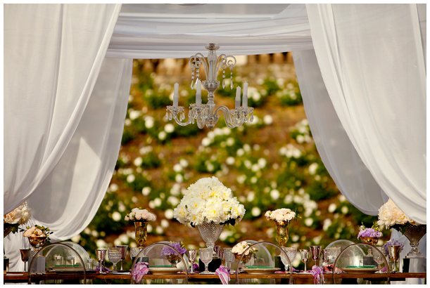 wedding photographer at Villa Le Selva Tuscany Italy wedding photographer at Villa Le Selva Tuscany Italy