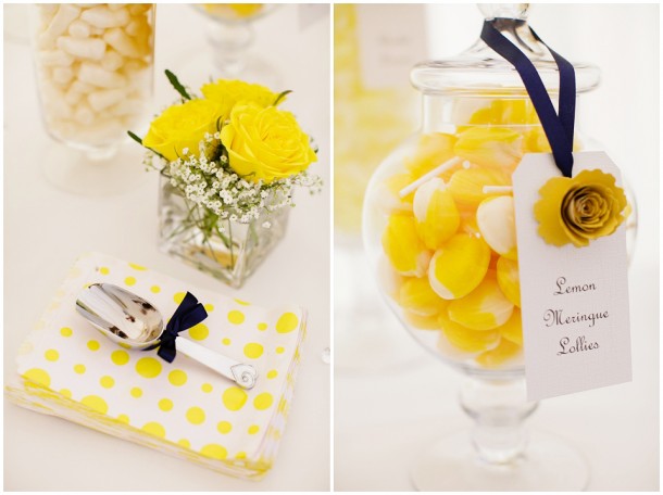 Wedding-At-Breamore-House-0058