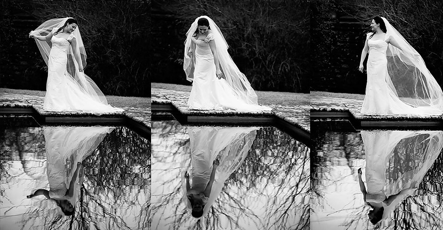 Shoot The Dress