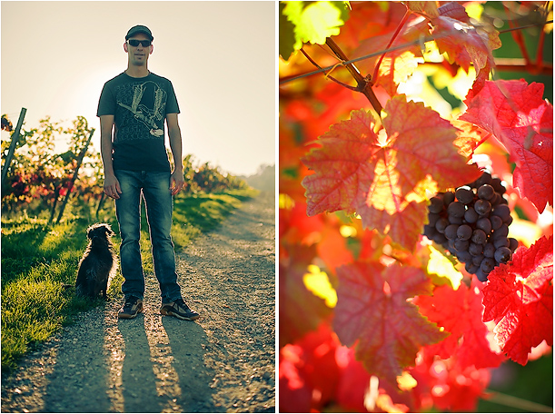 Wedding Photography at Denbies Vineyard Surrey