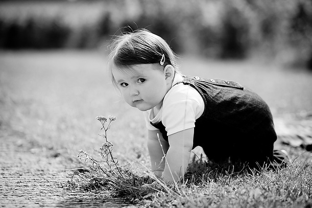 family photo shoot in surrey at Denbies Vineyard