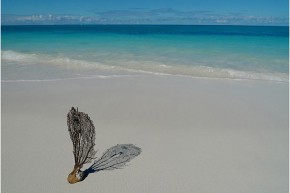 kyak-tour-big-blue-turks-caicos-0019
