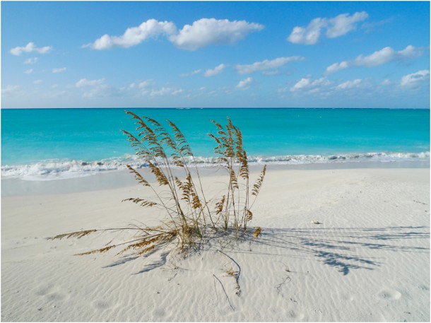 Leeward Beach Providenciales Turks and Caicos (12)